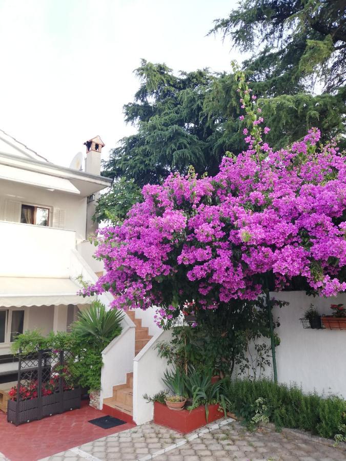 Apartments Poretti For 2,In Center Parking Free In The Yard,6 Min Beach Walk Rovinj Exterior foto