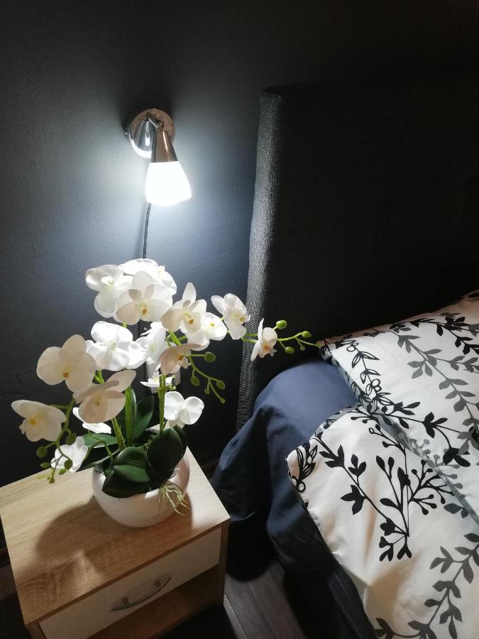 Apartments Poretti For 2,In Center Parking Free In The Yard,6 Min Beach Walk Rovinj Exterior foto