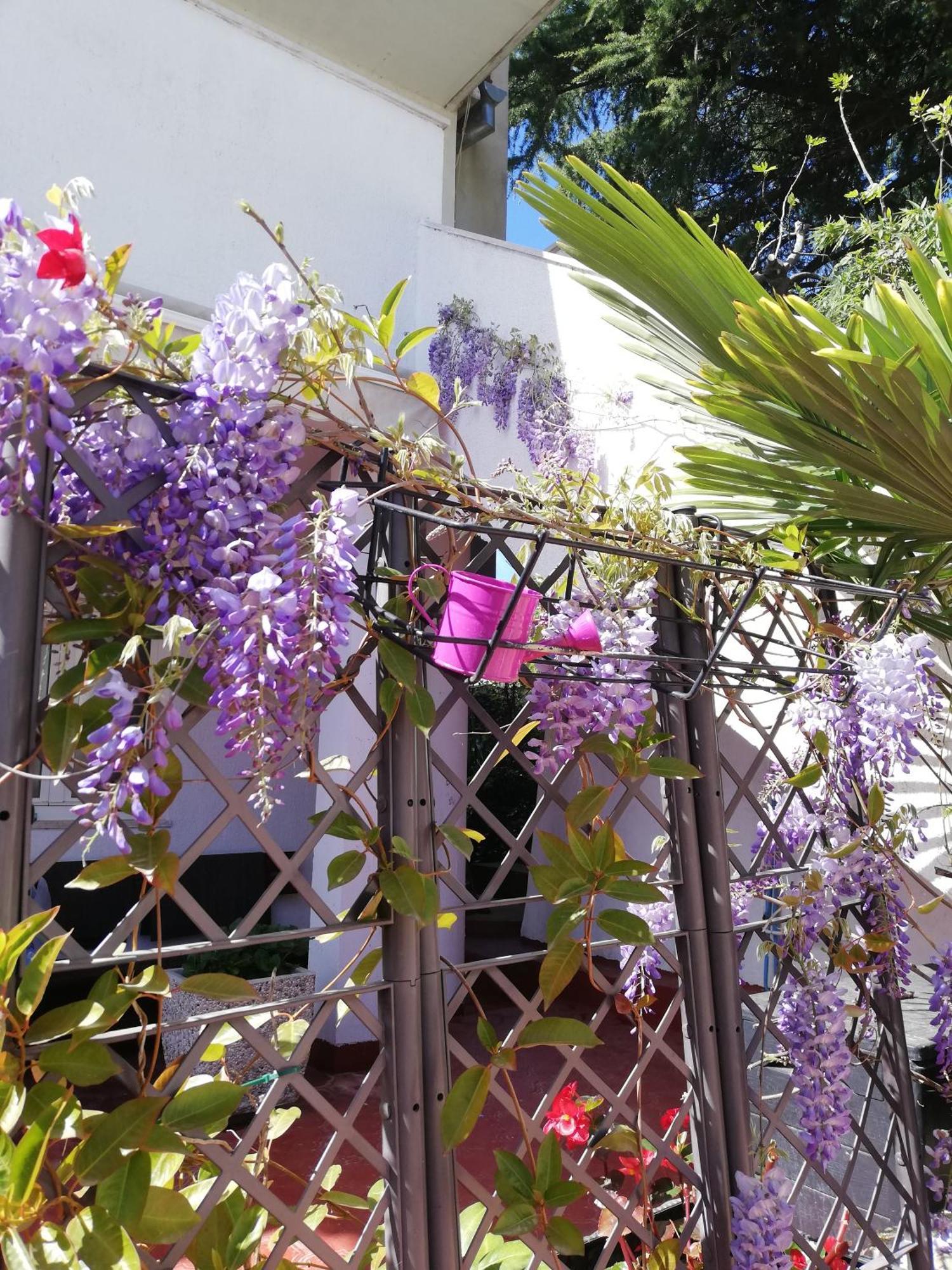 Apartments Poretti For 2,In Center Parking Free In The Yard,6 Min Beach Walk Rovinj Exterior foto