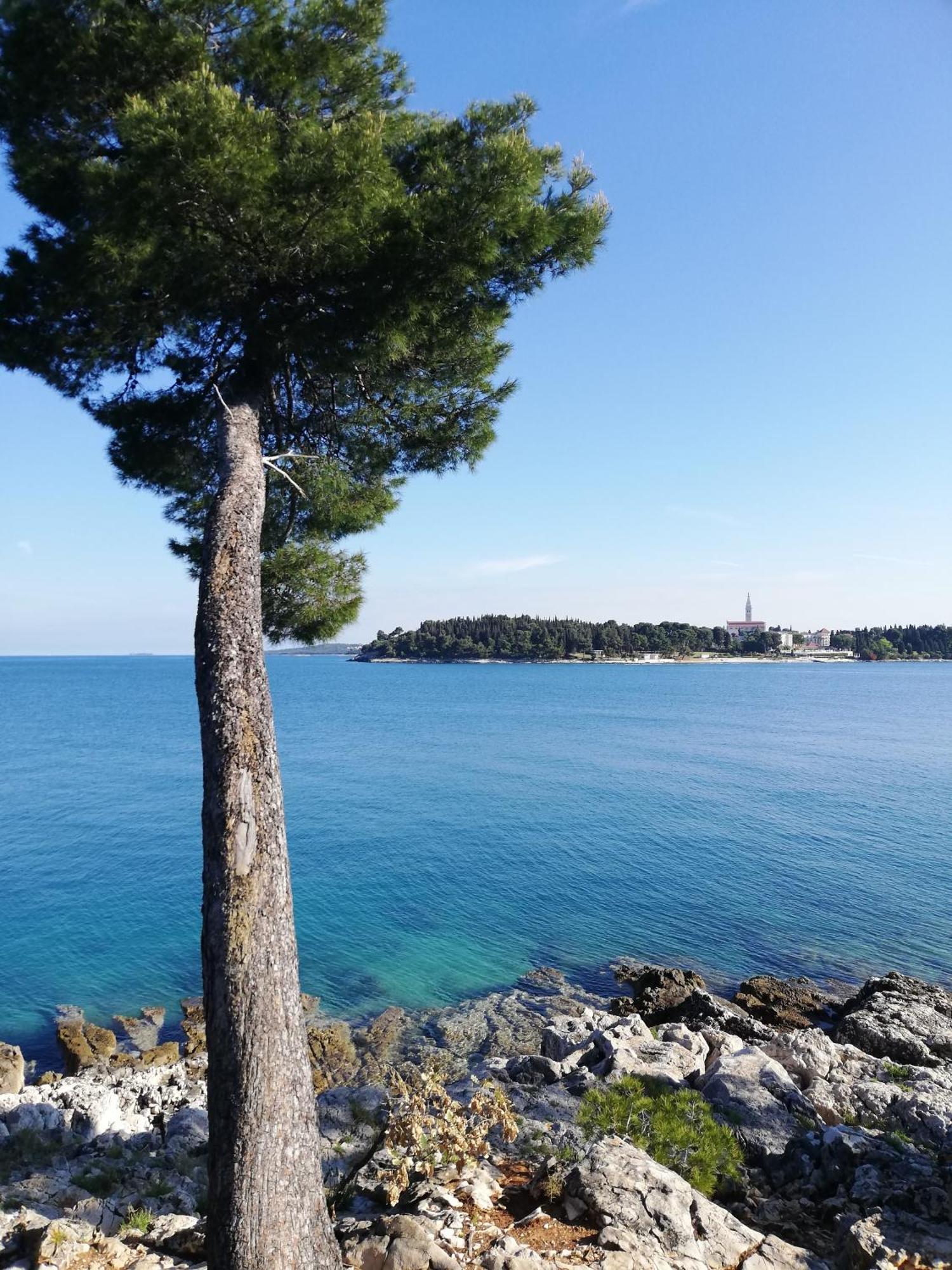 Apartments Poretti For 2,In Center Parking Free In The Yard,6 Min Beach Walk Rovinj Exterior foto
