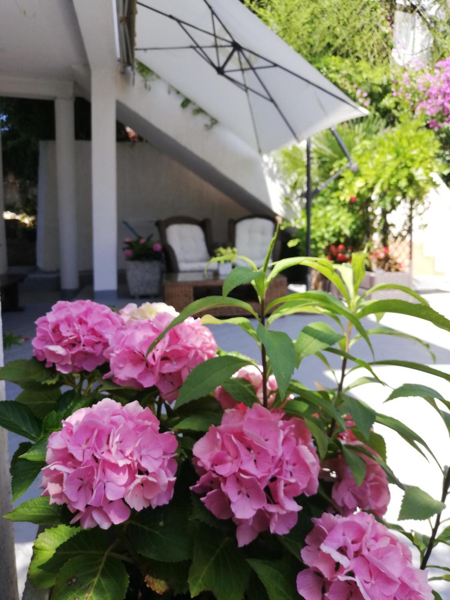 Apartments Poretti For 2,In Center Parking Free In The Yard,6 Min Beach Walk Rovinj Exterior foto