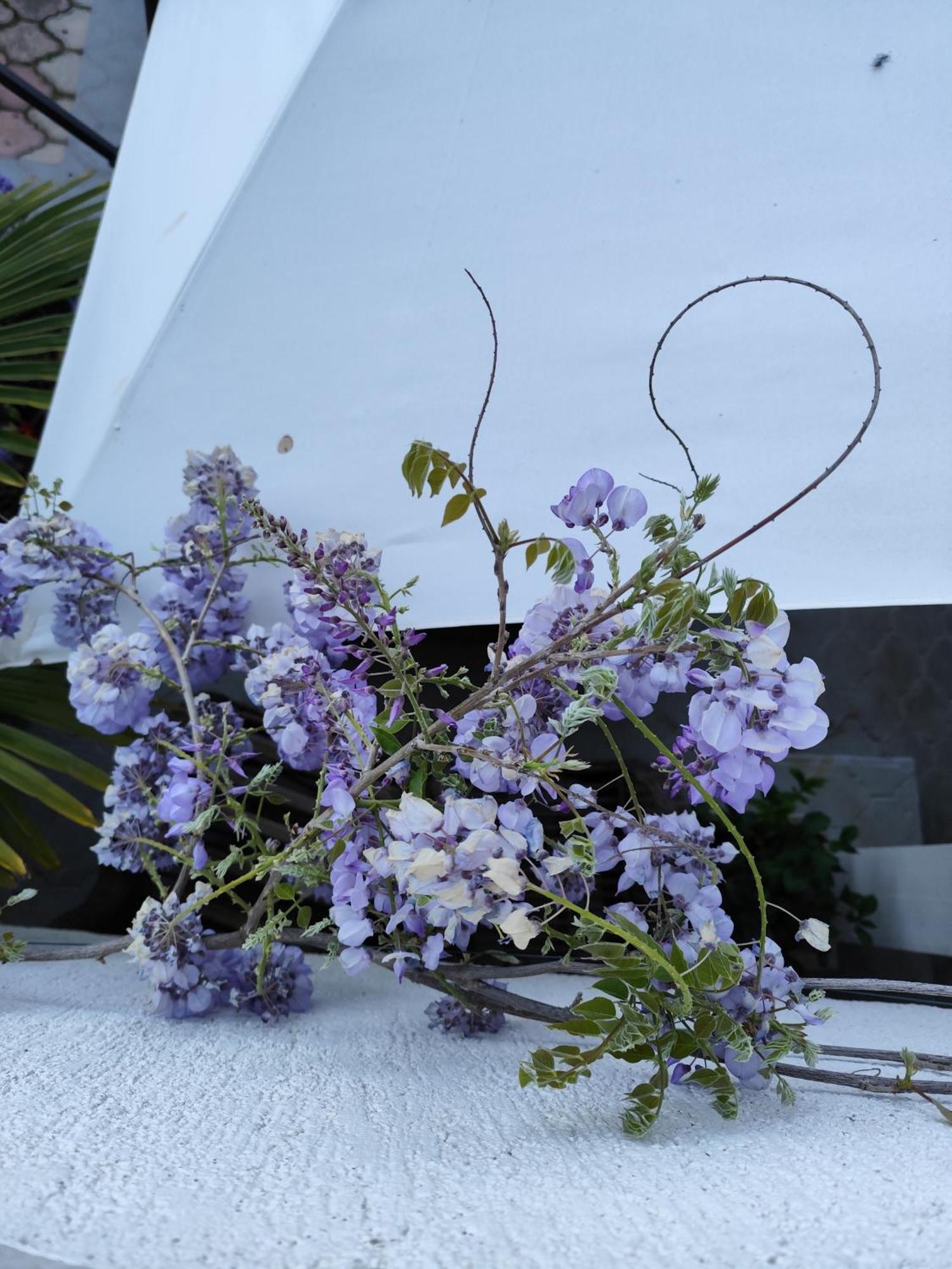 Apartments Poretti For 2,In Center Parking Free In The Yard,6 Min Beach Walk Rovinj Exterior foto